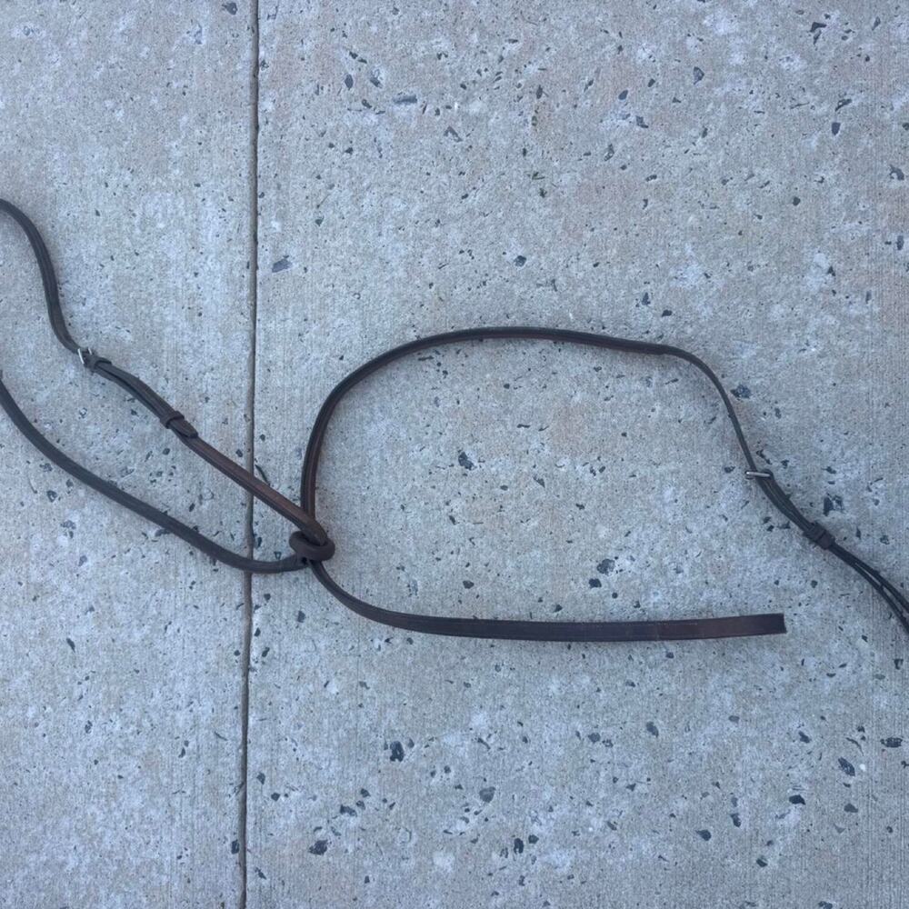 Brown leather standing martingale dark